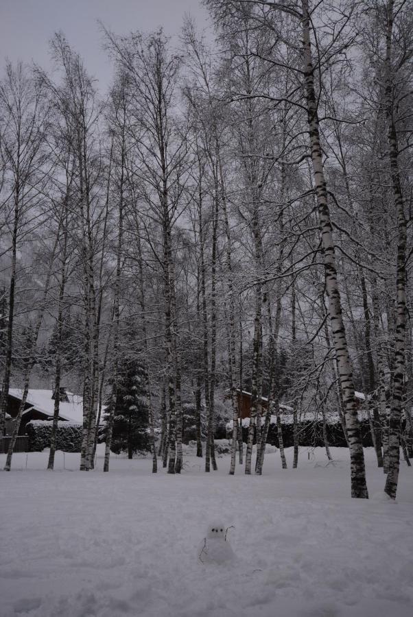 Chalet Champraz - Free Parking Chamonix ภายนอก รูปภาพ